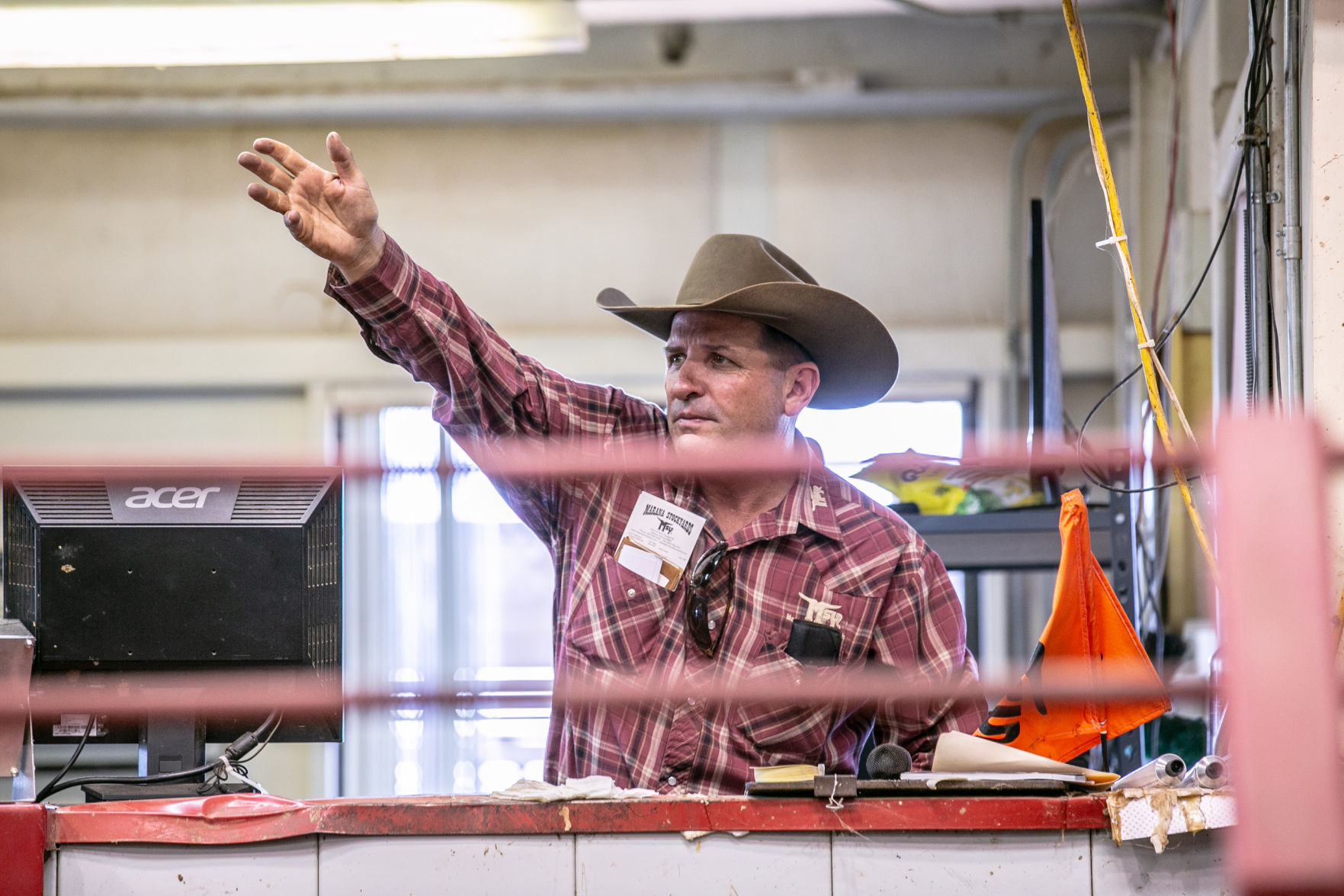 Cattle auction